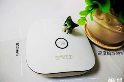 焦点否